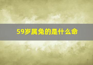 59岁属兔的是什么命