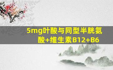 5mg叶酸与同型半胱氨酸+维生素B12+B6