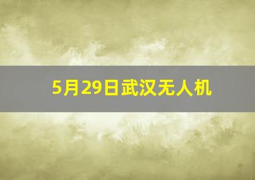 5月29日武汉无人机