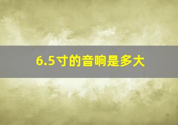 6.5寸的音响是多大