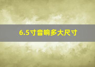 6.5寸音响多大尺寸