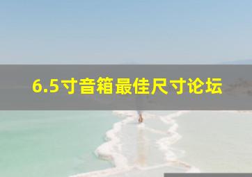 6.5寸音箱最佳尺寸论坛