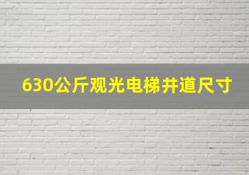 630公斤观光电梯井道尺寸