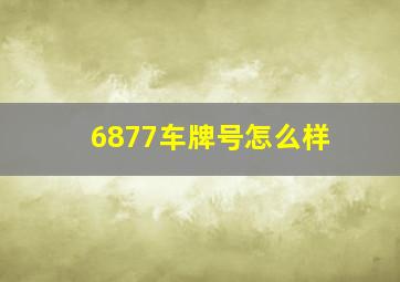 6877车牌号怎么样