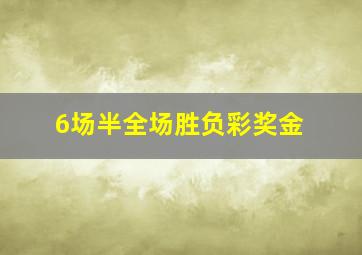 6场半全场胜负彩奖金