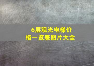 6层观光电梯价格一览表图片大全