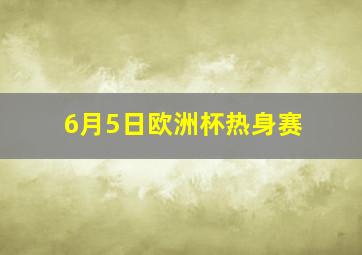 6月5日欧洲杯热身赛