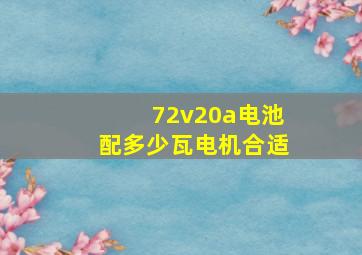 72v20a电池配多少瓦电机合适