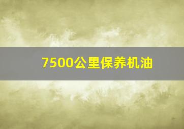 7500公里保养机油