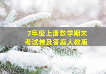 7年级上册数学期末考试卷及答案人教版