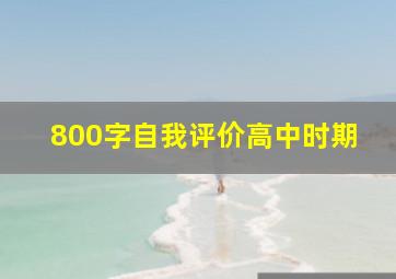 800字自我评价高中时期