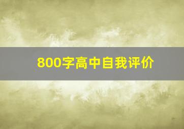 800字高中自我评价