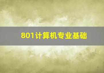 801计算机专业基础