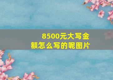 8500元大写金额怎么写的呢图片