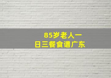 85岁老人一日三餐食谱广东