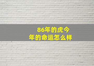 86年的虎今年的命运怎么样