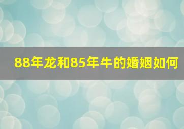 88年龙和85年牛的婚姻如何