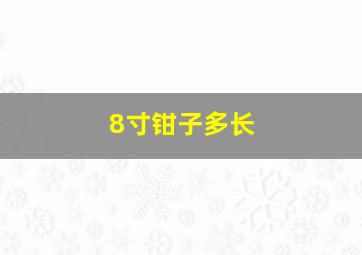 8寸钳子多长