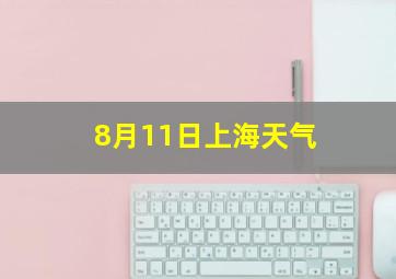 8月11日上海天气