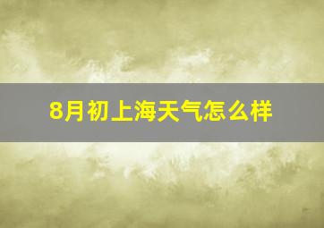 8月初上海天气怎么样