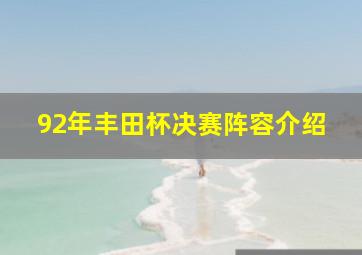 92年丰田杯决赛阵容介绍