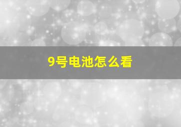 9号电池怎么看