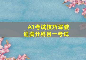 A1考试技巧驾驶证满分科目一考试