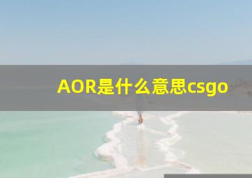 AOR是什么意思csgo