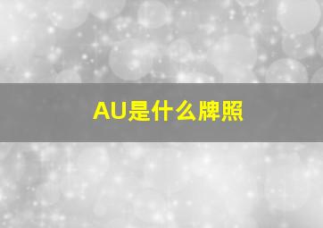 AU是什么牌照