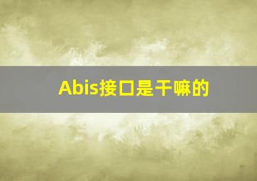 Abis接口是干嘛的