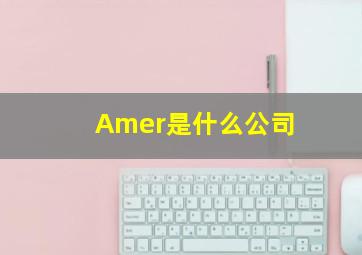 Amer是什么公司