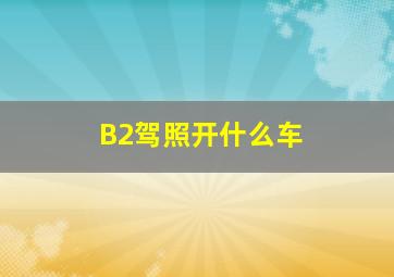 B2驾照开什么车