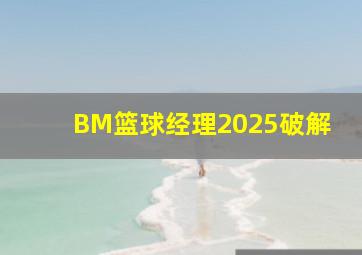 BM篮球经理2025破解