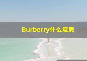 Burberry什么意思