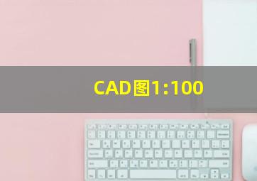 CAD图1:100