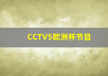 CCTV5欧洲杯节目