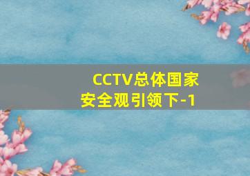 CCTV总体国家安全观引领下-1