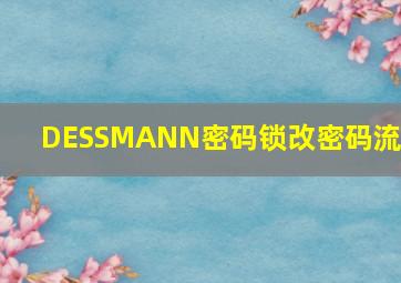 DESSMANN密码锁改密码流程