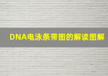 DNA电泳条带图的解读图解