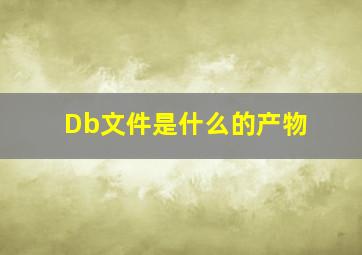 Db文件是什么的产物