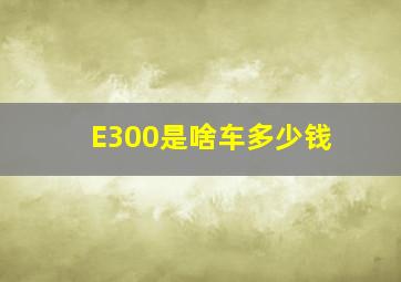 E300是啥车多少钱