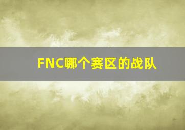 FNC哪个赛区的战队