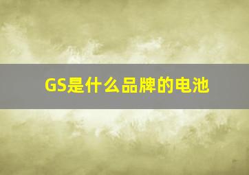 GS是什么品牌的电池