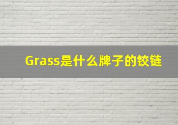 Grass是什么牌子的铰链