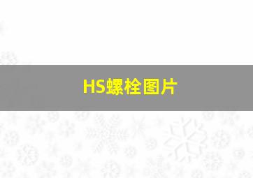 HS螺栓图片