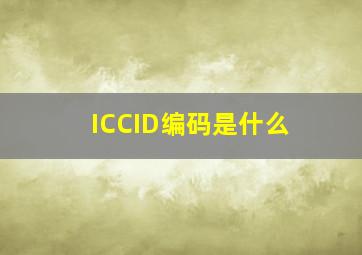 ICCID编码是什么