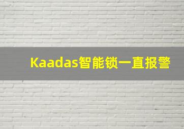 Kaadas智能锁一直报警