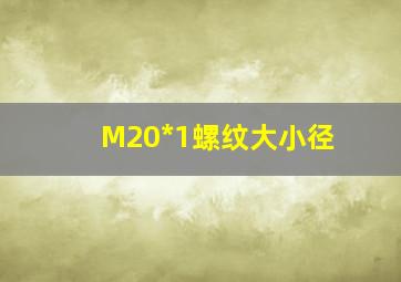 M20*1螺纹大小径