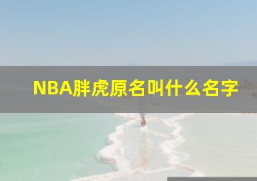 NBA胖虎原名叫什么名字