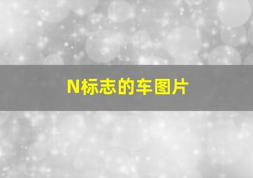 N标志的车图片